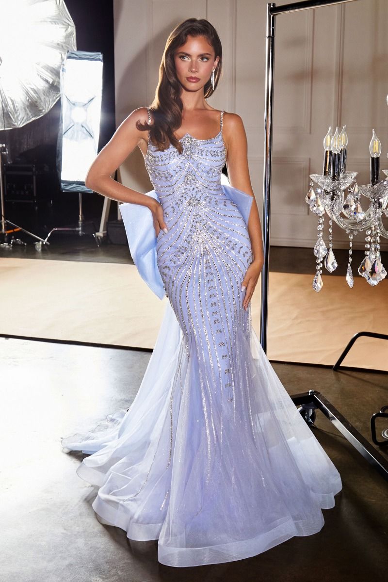Metallic Crystal Fitted Dress